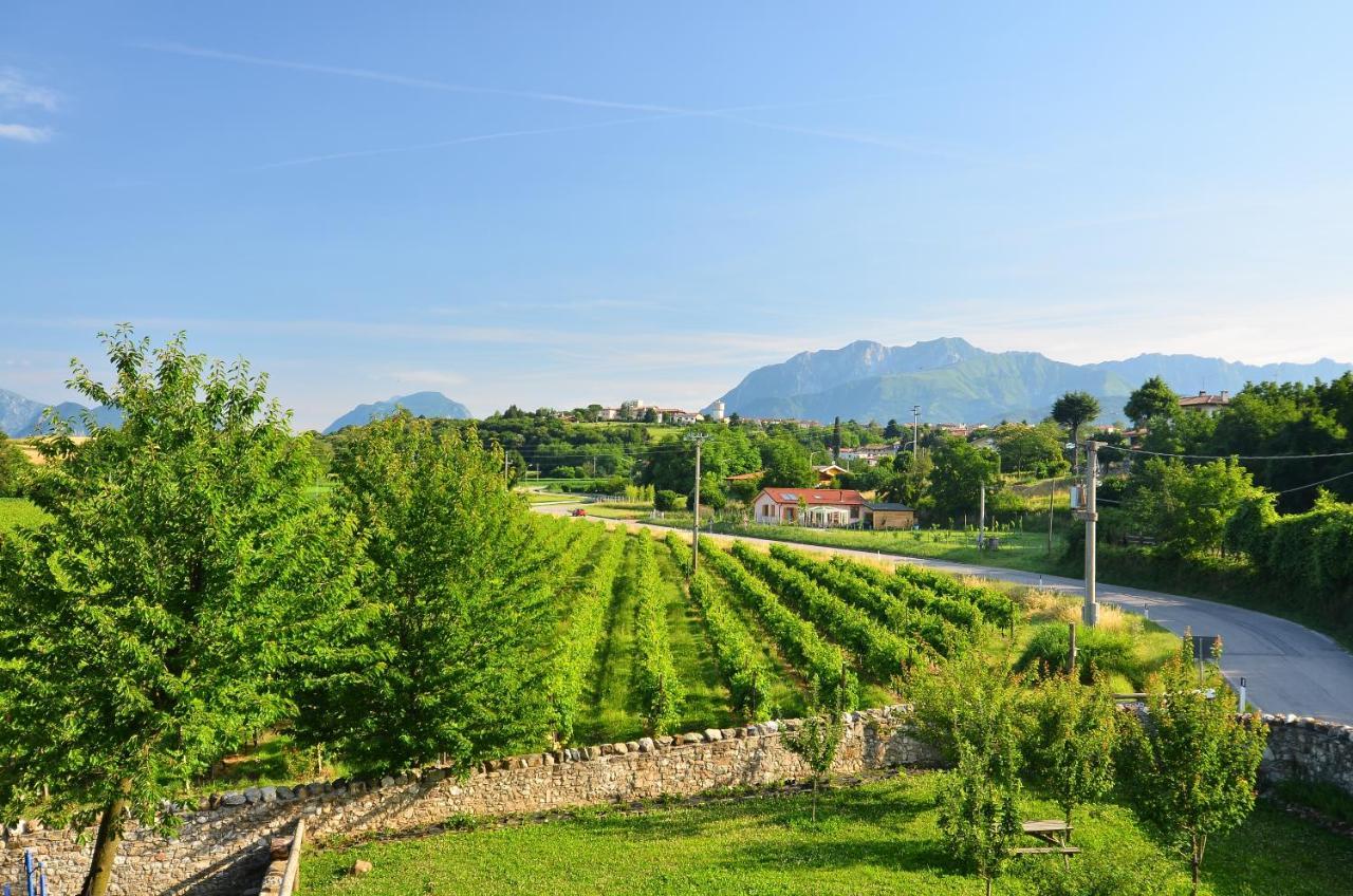 Agriturismo Borgo Floreani Vendoglio المظهر الخارجي الصورة